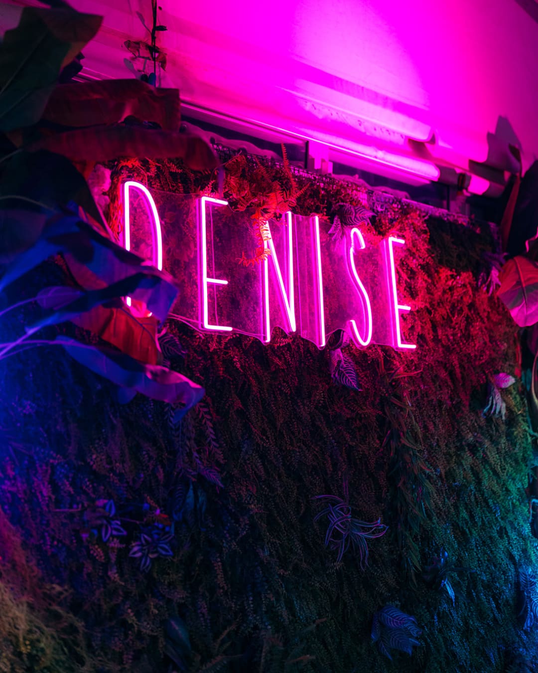 Denise